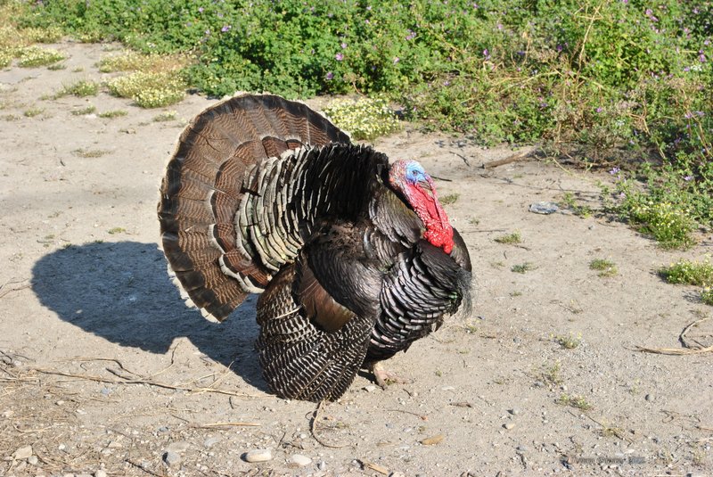 Image 0497_2012-06-05_22-10_D3000.jpg