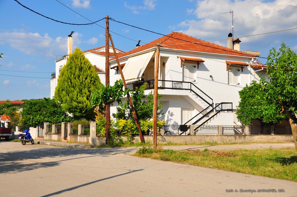 Image 0498_2012-06-05_22-11_D90.jpg