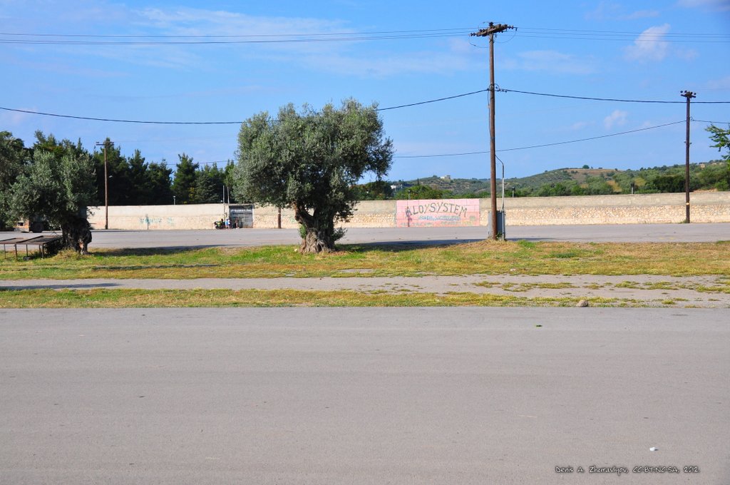 Image 0499_2012-06-05_22-16_D90.jpg