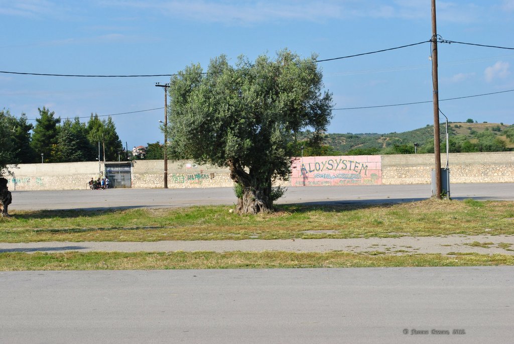 Image 0502_2012-06-05_22-19_D3000.jpg