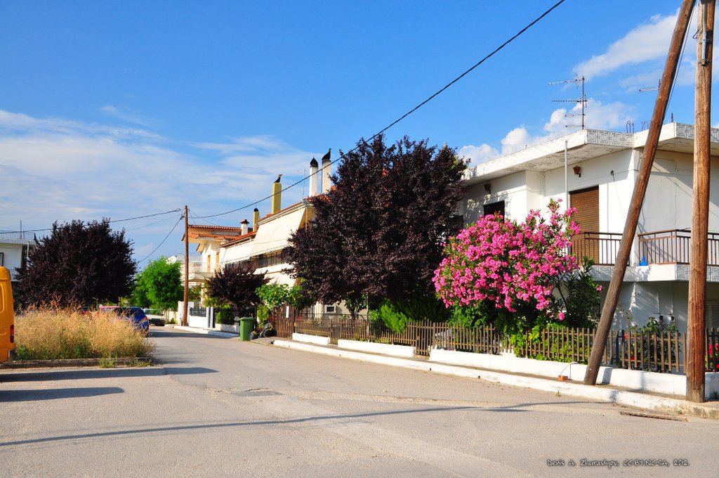 Image 0510_2012-06-05_22-25_D90.jpg