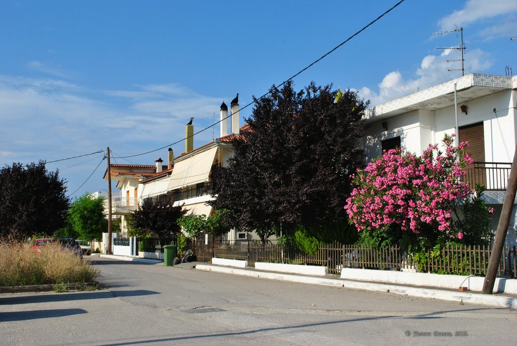 Image 0511_2012-06-05_22-27_D3000.jpg