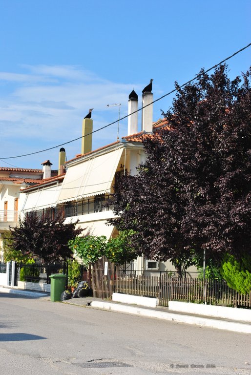 Image 0512_2012-06-05_22-27_D3000.jpg