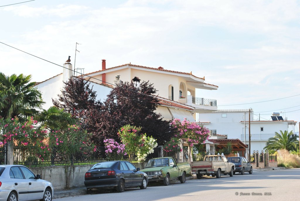 Image 0515_2012-06-05_22-29_D3000.jpg