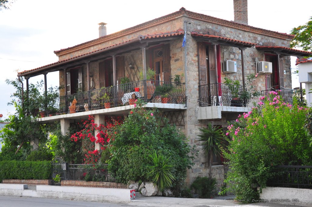 Image 0533_2012-06-05_23-04_D90.jpg