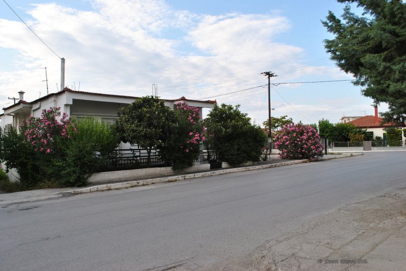 Image 0535_2012-06-05_23-06_D3000.jpg