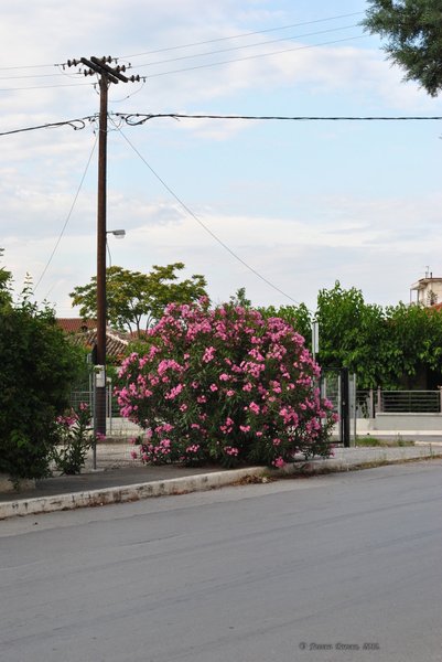 Image 0536_2012-06-05_23-06_D3000.jpg