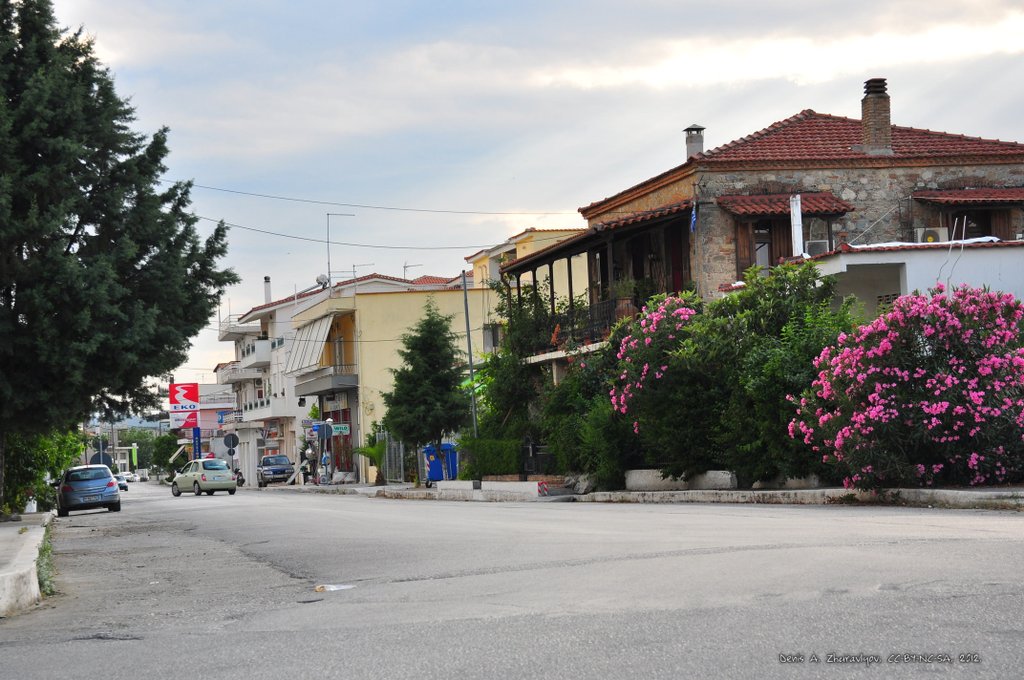 Image 0537_2012-06-05_23-07_D90.jpg