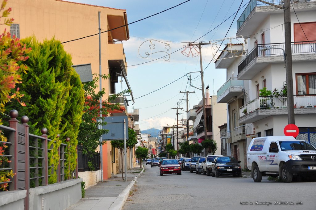 Image 0539_2012-06-05_23-09_D90.jpg