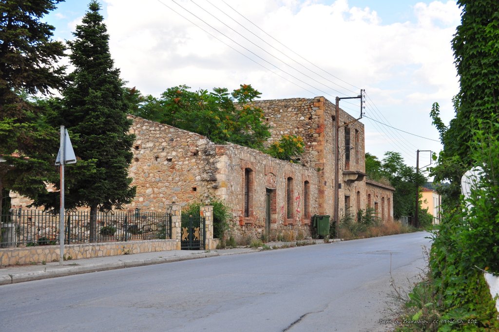 Image 0542_2012-06-05_23-13_D90.jpg