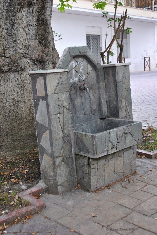 Image 0557_2012-06-05_23-29_D3000.jpg