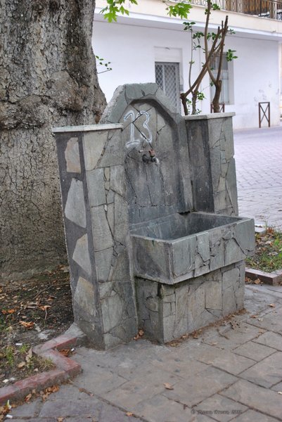 Image 0557_2012-06-05_23-29_D3000.jpg