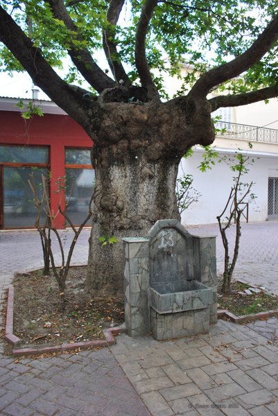 Image 0558_2012-06-05_23-30_D3000.jpg