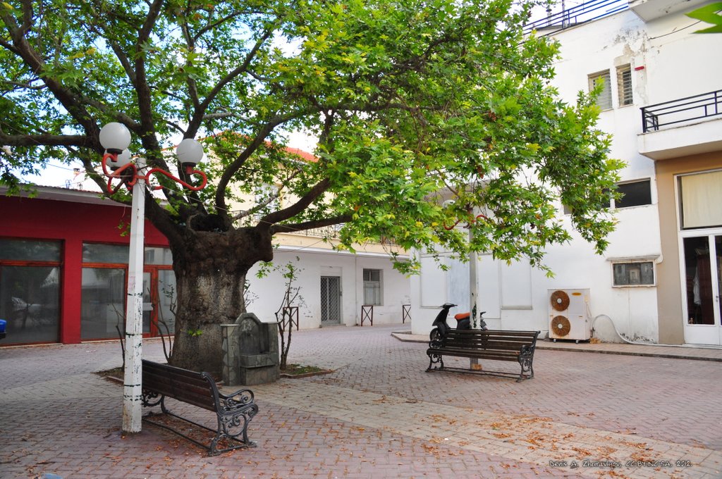 Image 0559_2012-06-05_23-30_D90.jpg