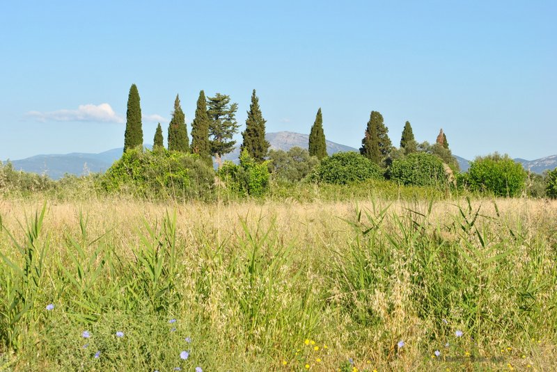 Image 0562_2012-06-06_12-29_D3000.jpg