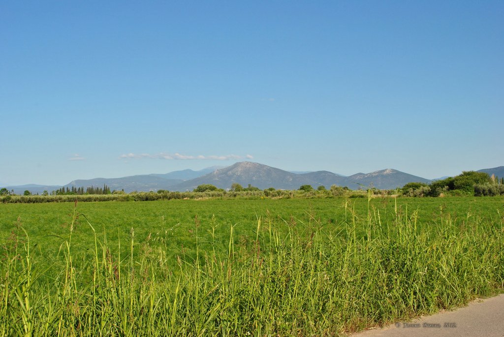 Image 0563_2012-06-06_12-37_D3000.jpg