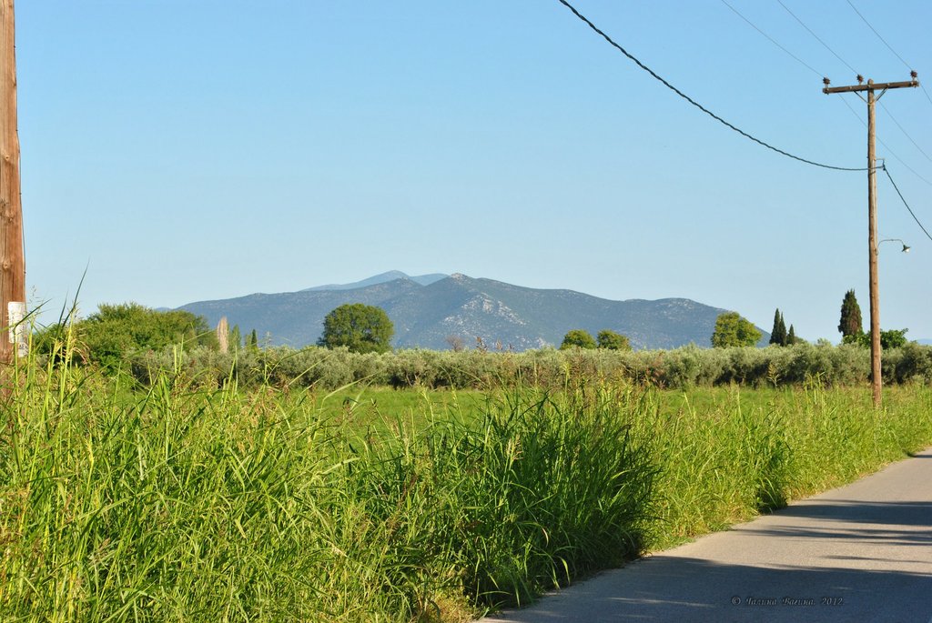 Image 0564_2012-06-06_12-37_D3000.jpg