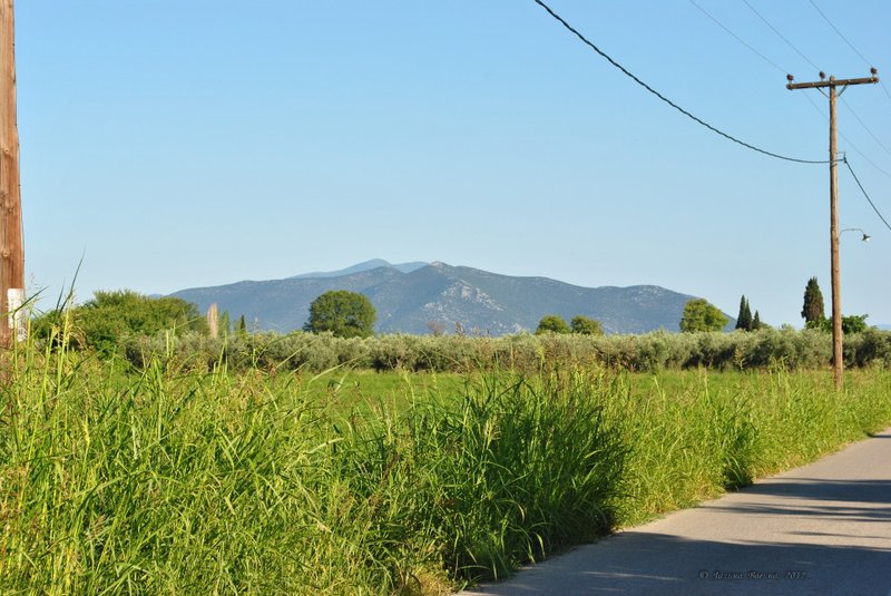 Image 0564_2012-06-06_12-37_D3000.jpg