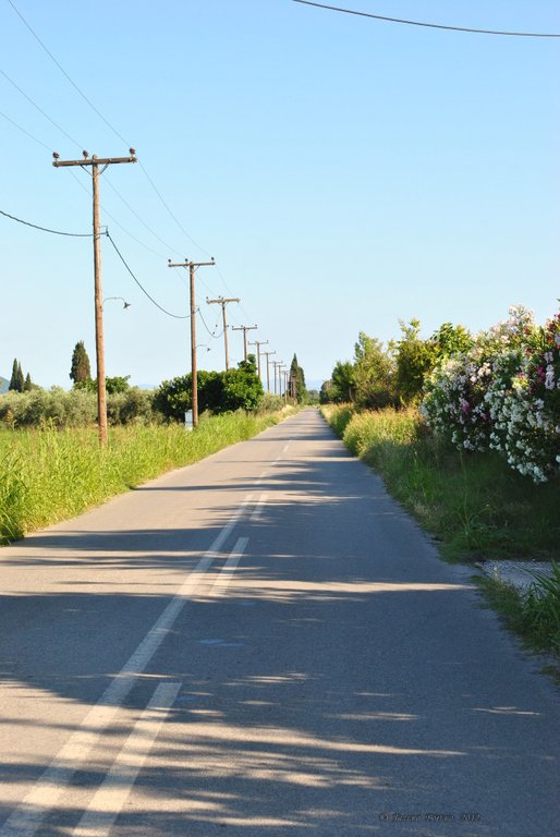 Image 0565_2012-06-06_12-37_D3000.jpg