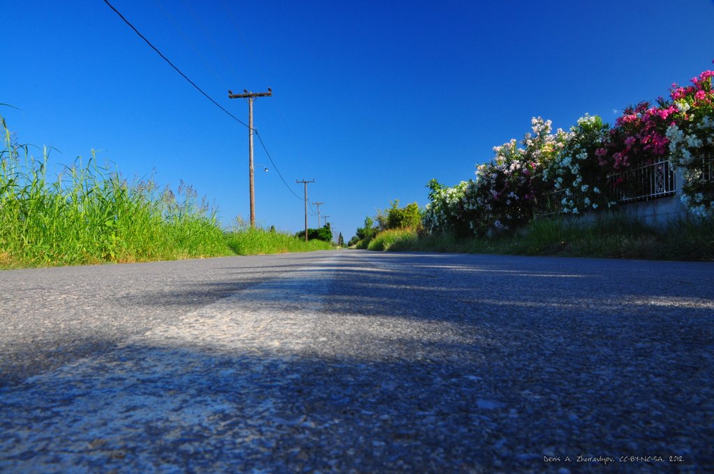 Image 0569_2012-06-06_12-39_D90.jpg