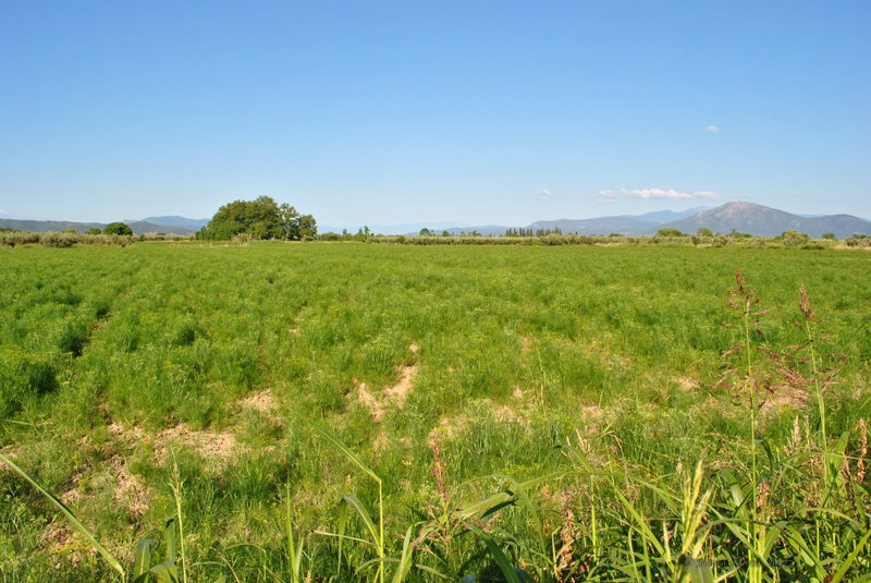 Image 0571_2012-06-06_12-41_D3000.jpg