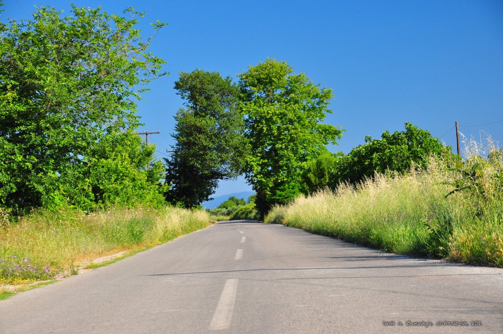 Image 0575_2012-06-06_12-57_D90.jpg