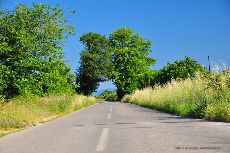 Image 0575_2012-06-06_12-57_D90.jpg