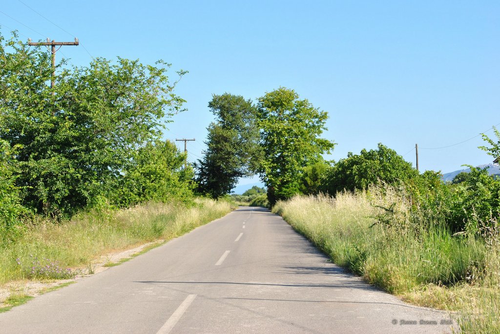 Image 0576_2012-06-06_12-59_D3000.jpg
