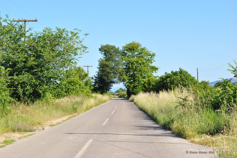 Image 0576_2012-06-06_12-59_D3000.jpg