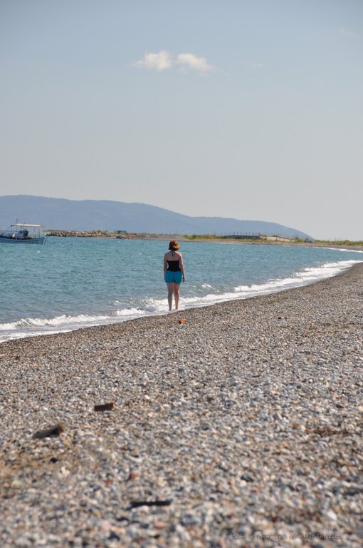 Image 0580_2012-06-06_13-44_D90.jpg