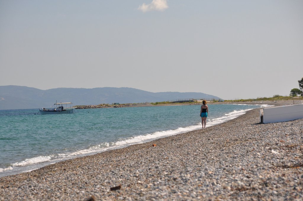 Image 0581_2012-06-06_13-45_D90.jpg