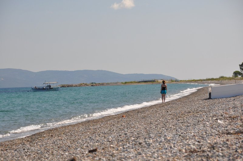 Image 0581_2012-06-06_13-45_D90.jpg