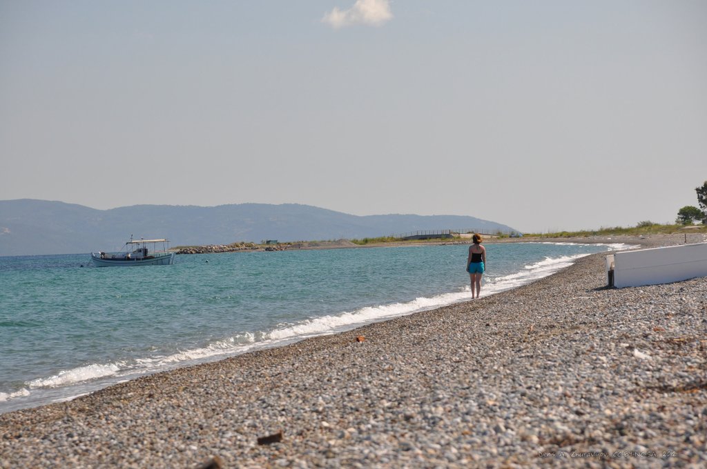 Image 0582_2012-06-06_13-45_D90.jpg