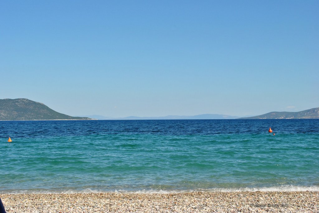 Image 0583_2012-06-06_14-05_D3000.jpg