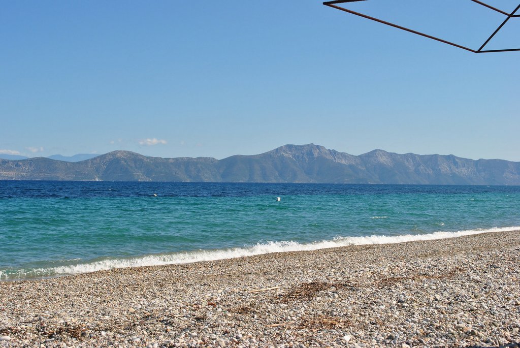 Image 0584_2012-06-06_14-05_D3000.jpg