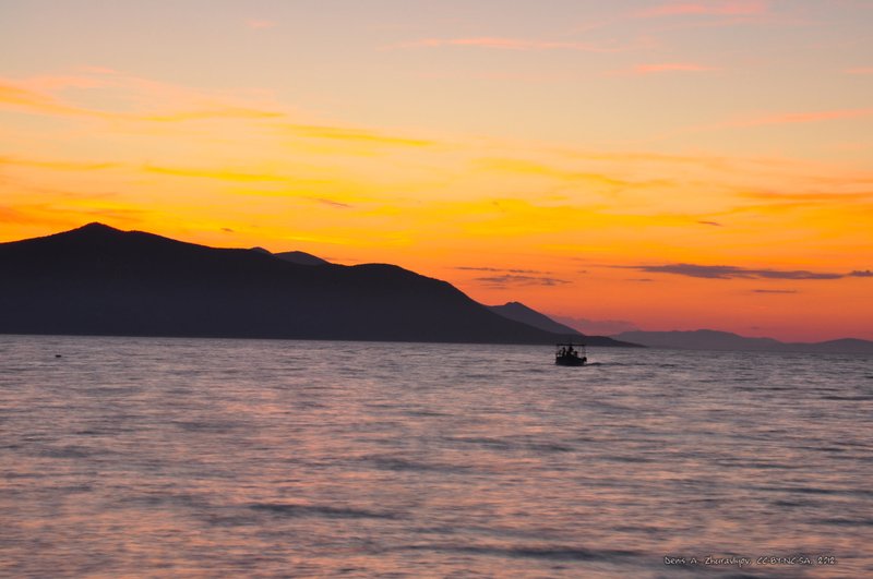 Image 0597_2012-06-08_01-10_D90.jpg