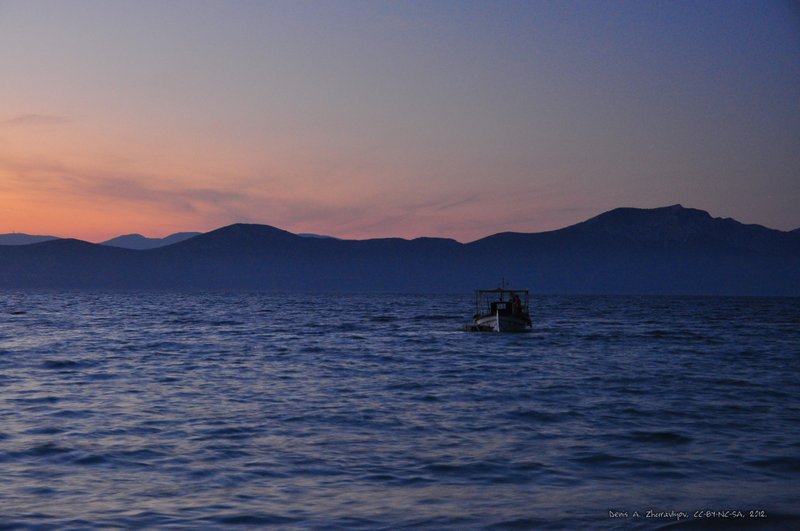 Image 0598_2012-06-08_01-15_D90.jpg