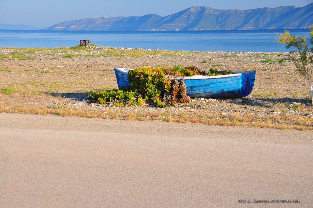 Image 0600_2012-06-08_11-36_D90.jpg