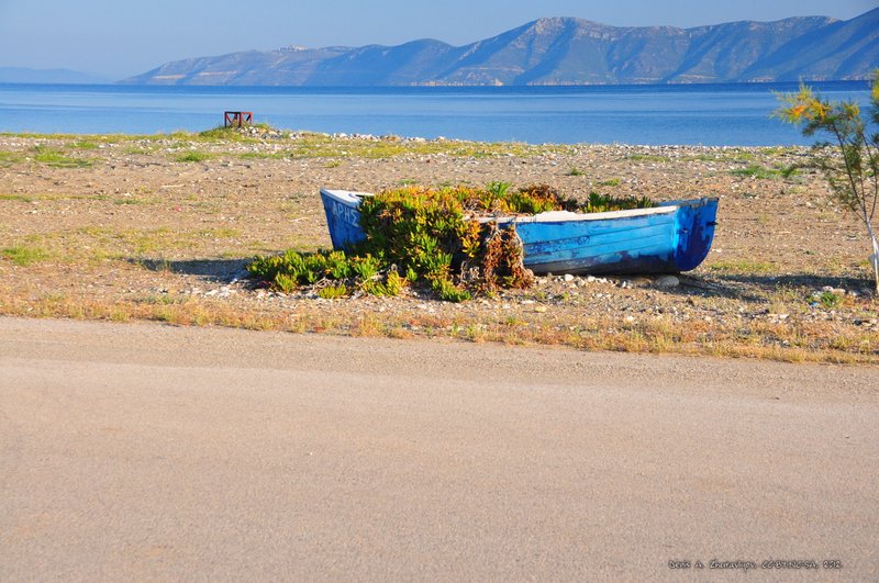 Image 0600_2012-06-08_11-36_D90.jpg