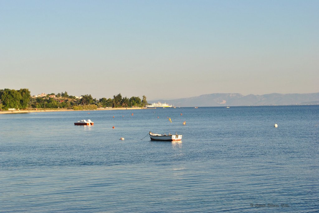 Image 0643_2012-06-08_23-53_D3000.jpg