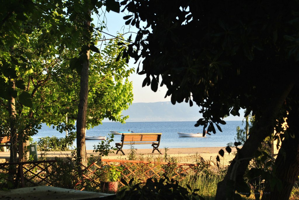 Image 0651_2012-06-08_23-57_D3000.jpg