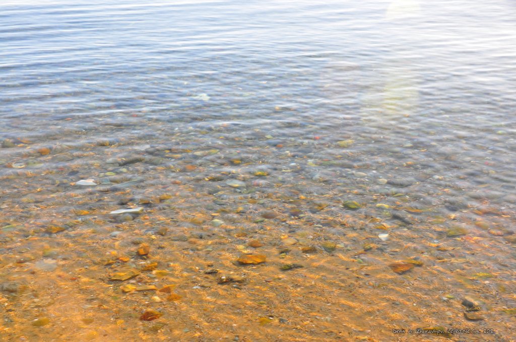 Image 0653_2012-06-09_00-04_D90.jpg