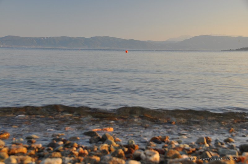 Image 0655_2012-06-09_00-13_D90.jpg