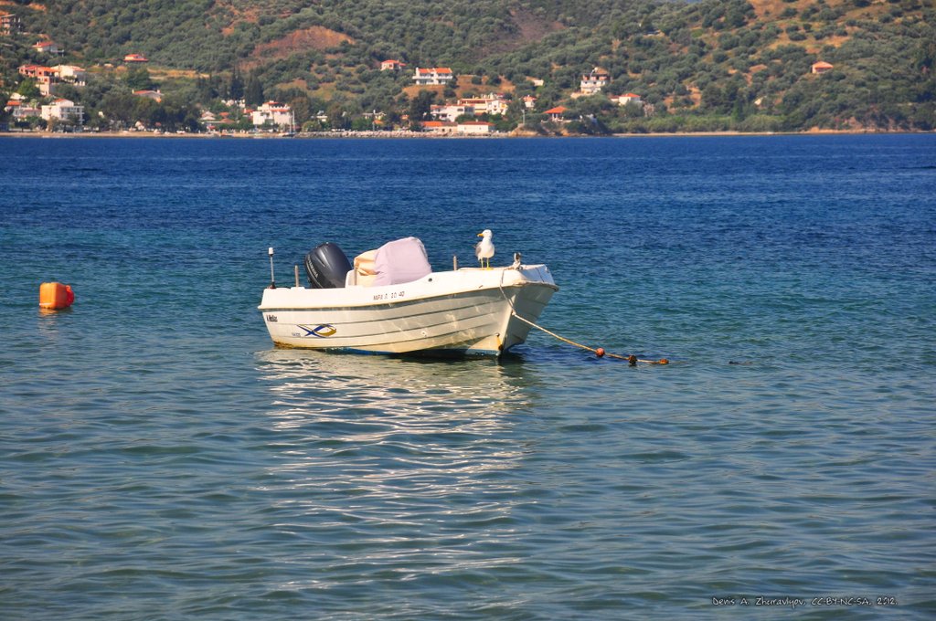 Image 0663_2012-06-09_13-31_D90.jpg