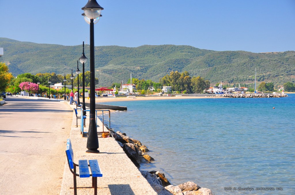 Image 0664_2012-06-09_13-33_D90.jpg