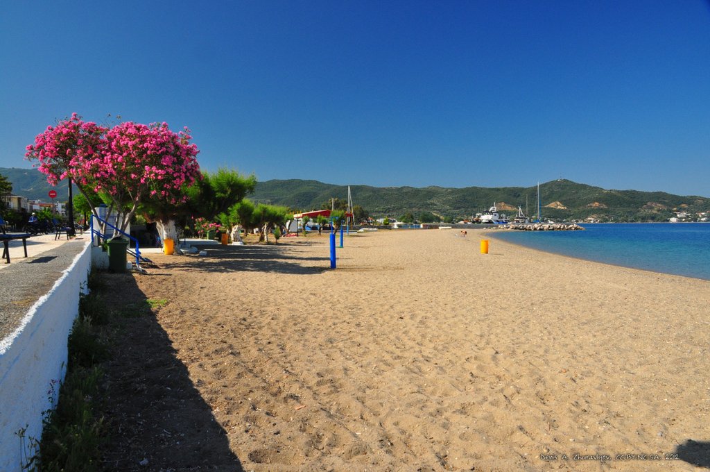 Image 0666_2012-06-09_13-44_D90.jpg