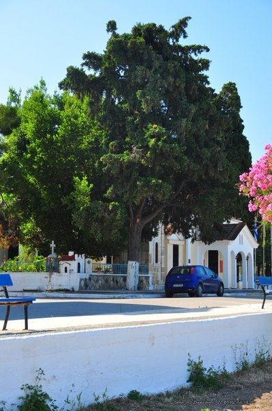 Image 0668_2012-06-09_13-48_D90.jpg