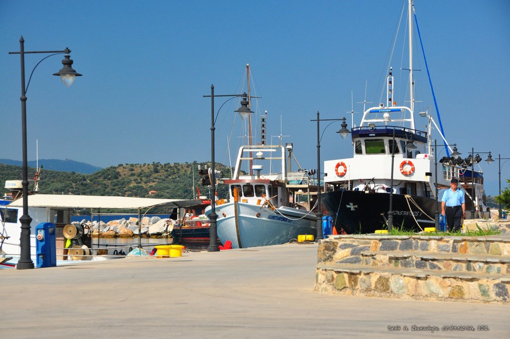 Image 0674_2012-06-09_13-59_D90.jpg