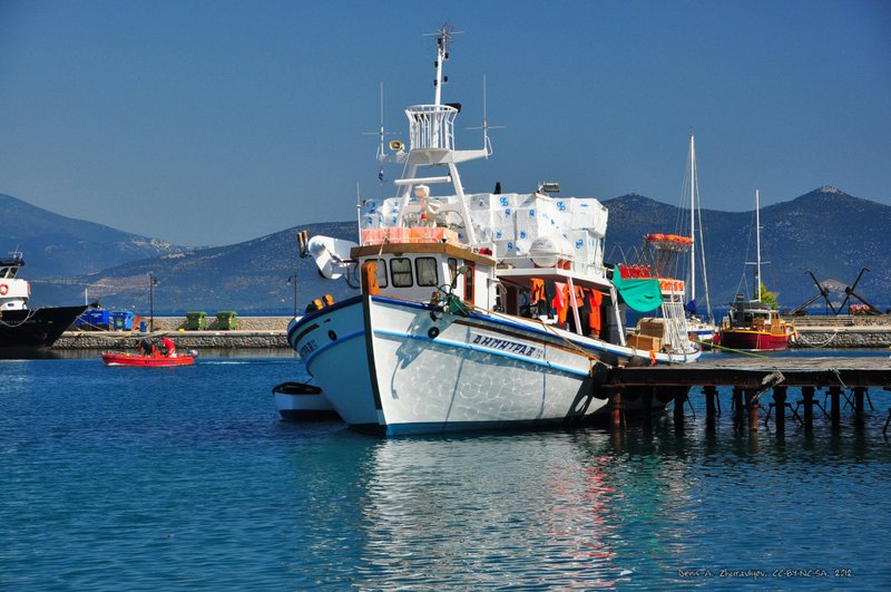 Image 0676_2012-06-09_14-03_D90.jpg