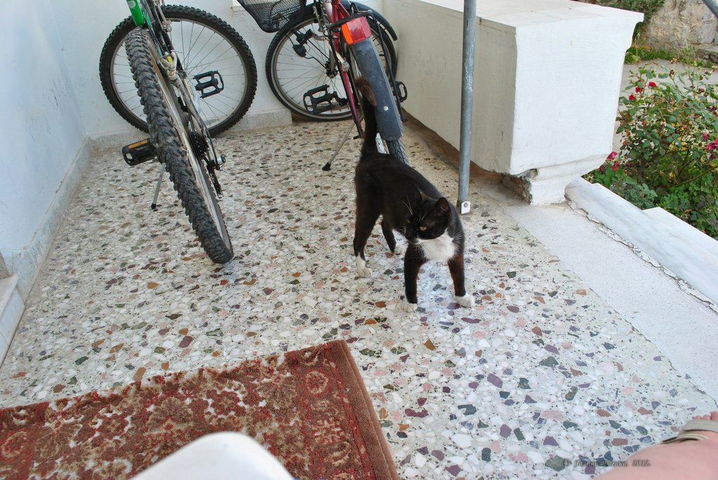 Image 0685_2012-06-09_22-07_D3000.jpg